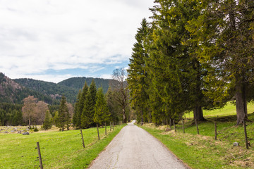 Way in the mountain for hiking.