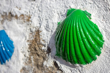 Green painted shell on white wall close up. Symbol of pilgrimage. Pilgrim sign on Camino de Santiago way. Street art. Outdoor decoration. 