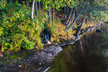 trees along waterfront with small waterfall 