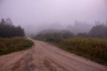 Foggy morning in countryside. Empty rural path in misty forest. Rustic autumn landscape. Travel and trip concept. Road in morning fog. 