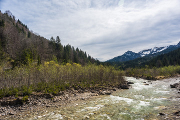 Fototapeta na wymiar The mountain river Halblech in Bavaria.