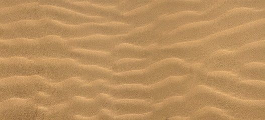 Panorama of ripples in the sand