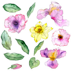 watercolor drawing flowers and leaves