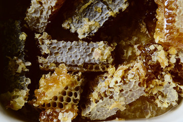 Honey and honeycomb close up