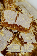 Honey and honeycomb close up