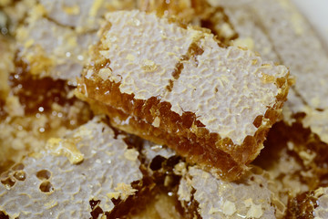 Honey and honeycomb close up