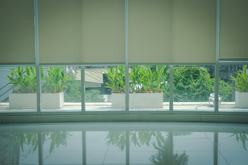 Fototapeta na wymiar plant on terrace & aluminium window roll blinds roller curtain