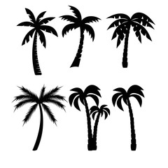 Palm trees black silhouettes set