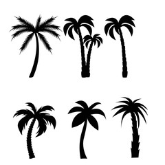 Palm trees black silhouettes set