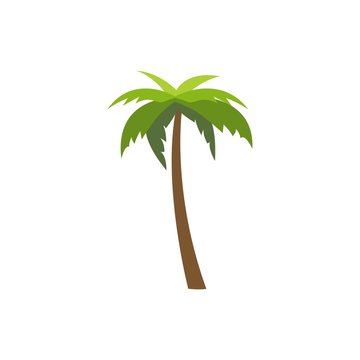 tree palm isolated icon