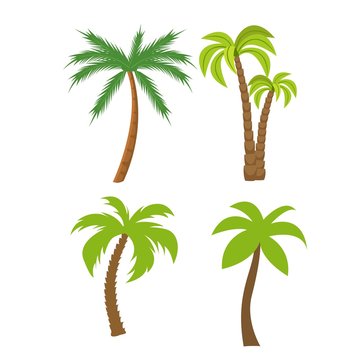 Flat vector set of palm trees