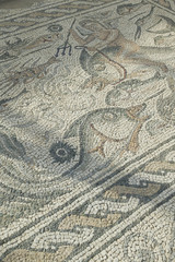 Roman Mosaic floor with images of fish