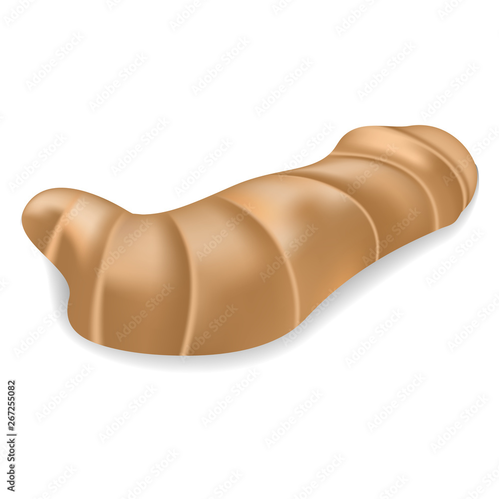 Poster ginger root icon. realistic illustration of ginger root vector icon for web design isolated on white