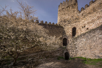 inner defense walls of ananuri church