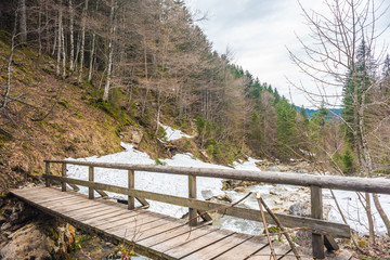 The mountain river in Bavaria.