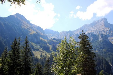Schweizer Berge