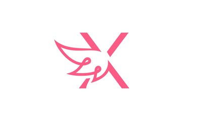 letter x beauty