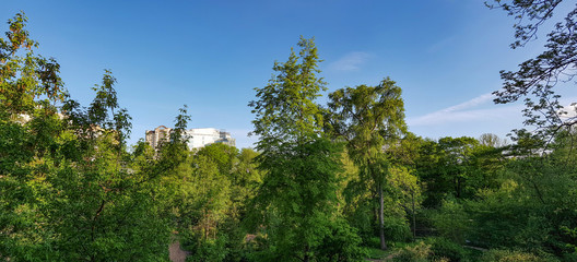 Summer city park with bright green foliage