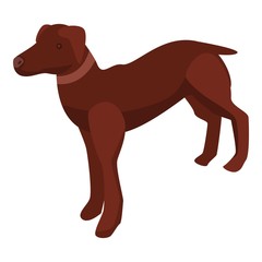 Hunting dog icon. Isometric of hunting dog vector icon for web design isolated on white background