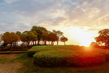 Coucher de Soleil dans un parc au Japon