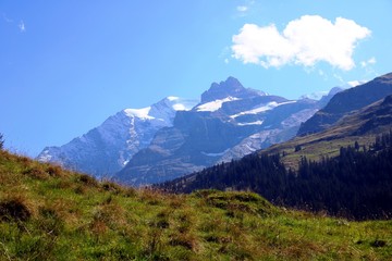 Fototapeta premium Schweizer Berge