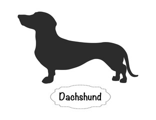 Dachshund icon