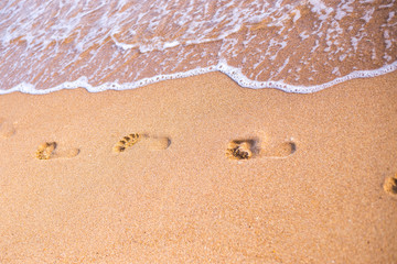 footprints in the sand on the beach