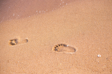 footprints in the sand on the beach