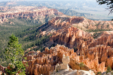 Valley full of Pines at Bryce Canyon