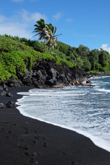 Black Sand Beach Paradise