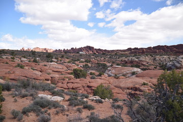 Canyonlands National Park, Utah. U.S.A. Beautiful pinyon and juniper pine and red sandstone moutains