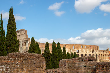 Colosseum of Rome with trees and wall