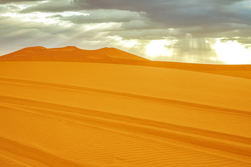 Beautiful sand dunes in the Sahara desert.