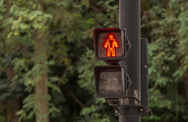 Sinal vermelho para pedestre em avenida de cidade brasileira