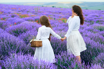 girls are in the lavender flower field, beautiful summer landscape