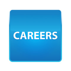 Careers shiny blue square button