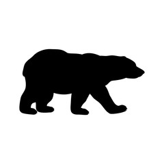 Polar bear wild black silhouette animal. Vector Illustrator.  