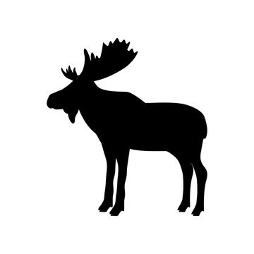 Elk moose bull mammal black silhouette animal. Vector Illustrator.