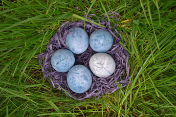 Five blue eggs, painted in hibiscus, lie in a hay on green grass, like a dragon eggs and marble,...