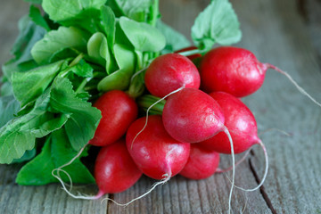 Bunch of radishes on wooden background