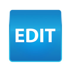 Edit shiny blue square button