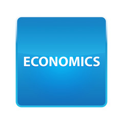 Economics shiny blue square button