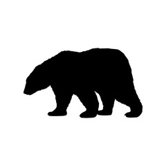 Brown bear wild black silhouette animal. Vector Illustrator.
