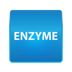 Enzyme shiny blue square button
