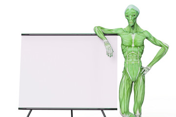 alien muscle maps on white background