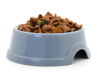 Bowl of pet food for cats and dogs.