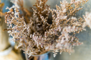 Dried flowers, but still beautiful.