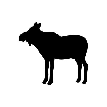 recommend clip art: Elk moose cow mammal black silhouette animal. Vector Illustrator.