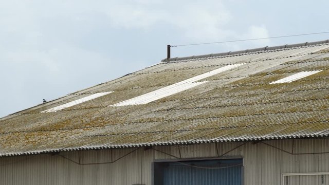 Roof of asbestos tile in a old industrial warehouse