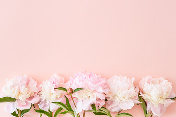 Fototapeta na wymiar Flat lay composition with pink peonies on a pink background